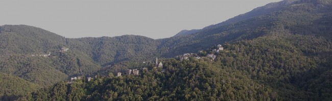 Le Domaine de Mélody choisit logiciel de gestion de résidence hôtelière et de tourisme MySequoia